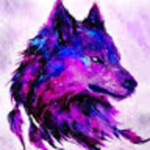 Meet your Posher, Malachi